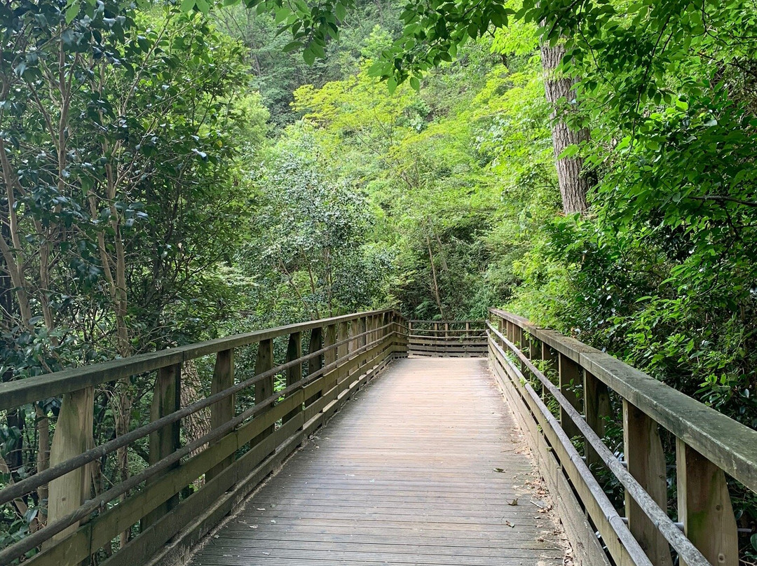 Hoshida Enchi, Osaka Prefecture Parks-交野市必去景点