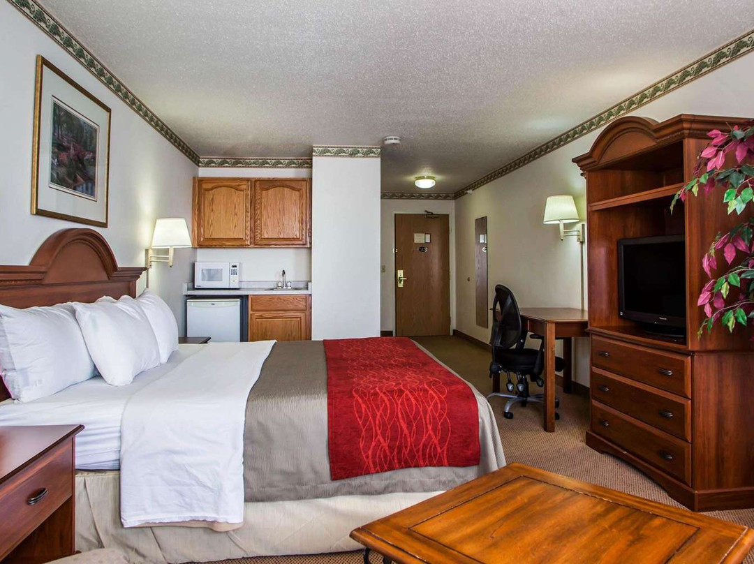 Comfort Inn & Suites Geneva- West Chicago主图