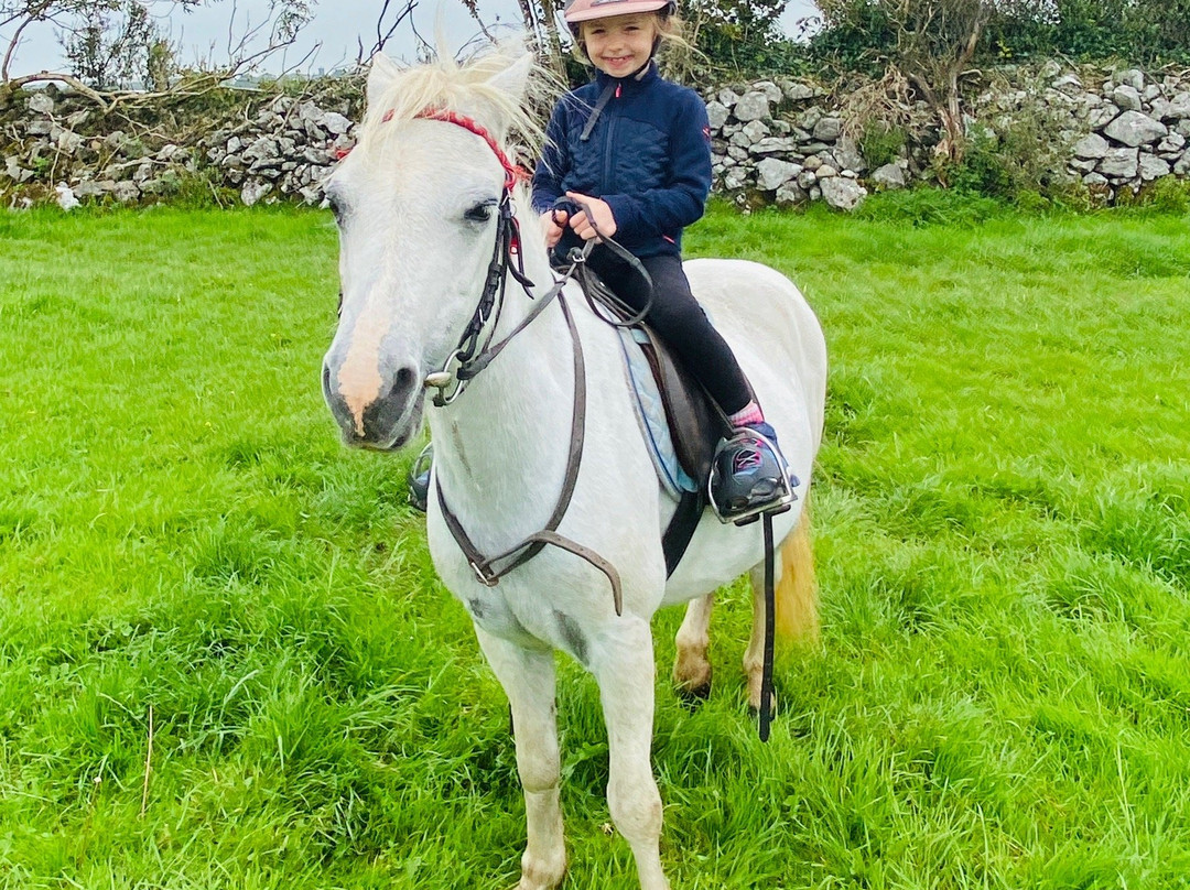 Drumcliffe Equestrian-恩尼斯必去景点