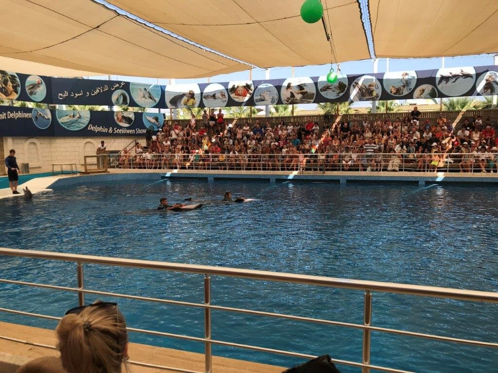 Aksu Dolphinarium景点图片