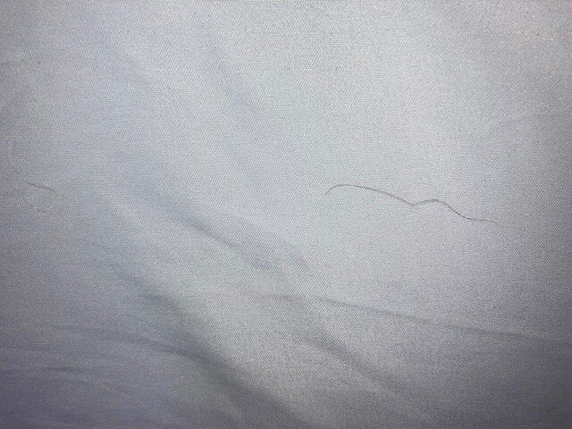 Quality Inn I-81 Exit 23主图