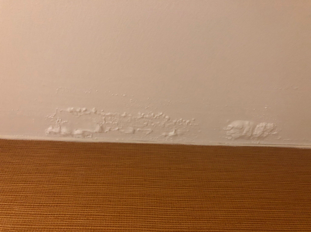 Fairfield by Marriott Inn & Suites Chesapeake主图