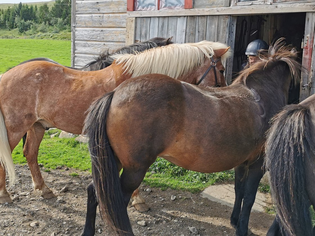 Eyjardalsa-胡萨维克必去景点