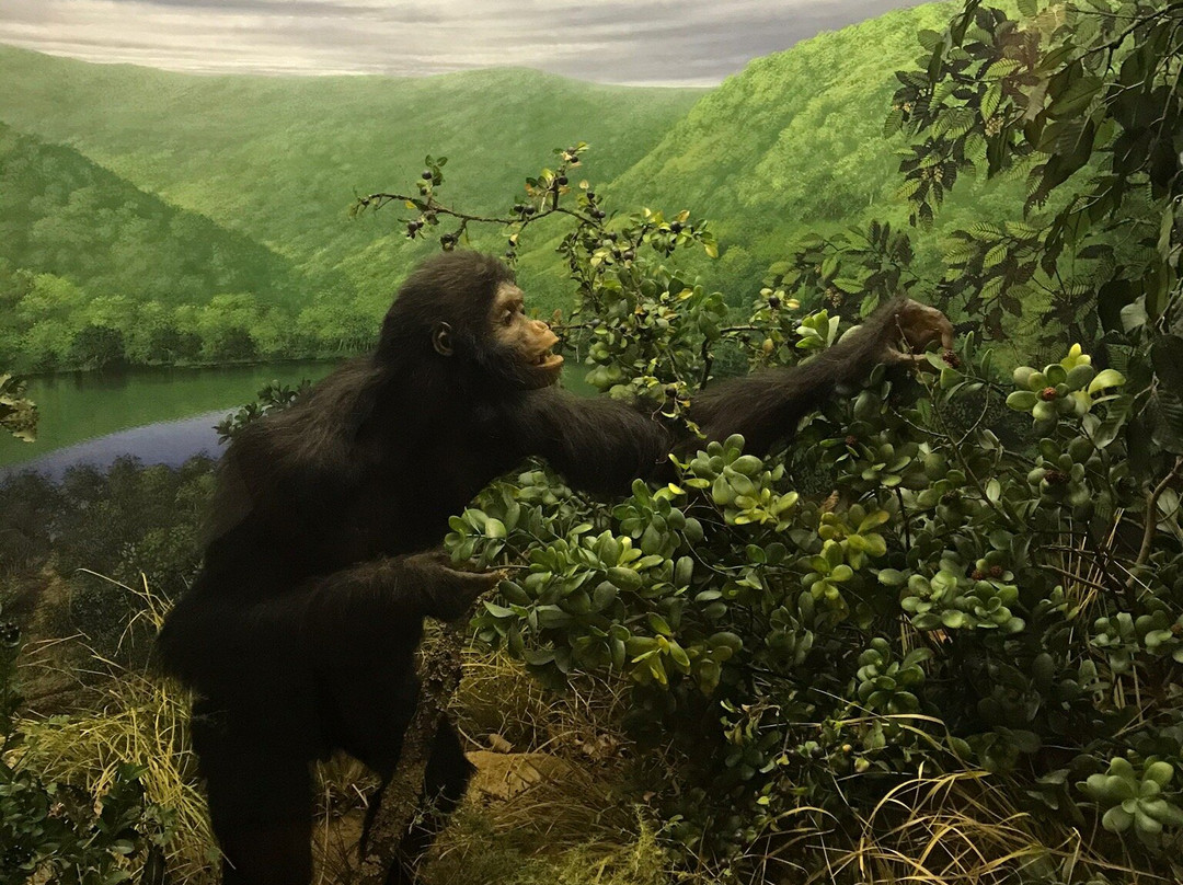 Museo di Storia Naturale della Maremma景点图片