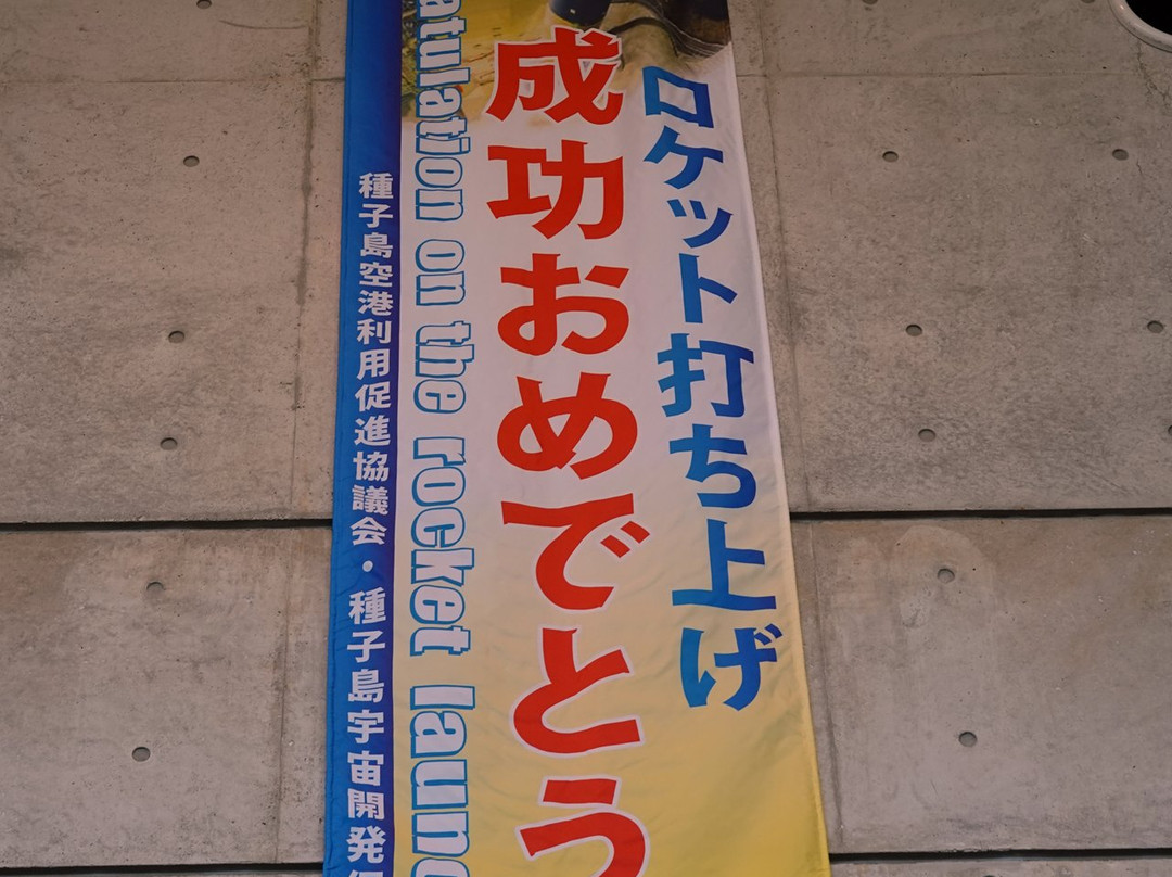 Tanegashima Airport景点图片