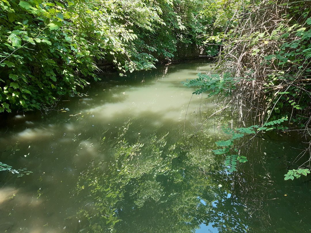 Bagno di Barbarano-Barbarano Vicentino必去景点