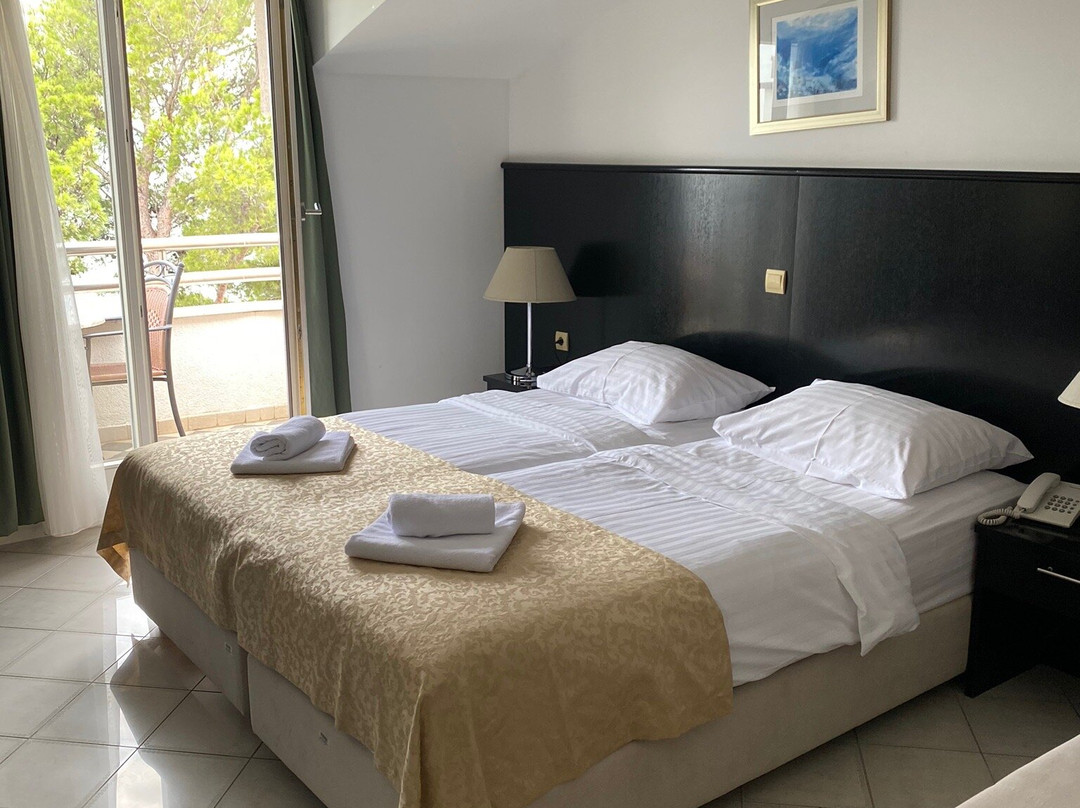 Milenij Hotel主图