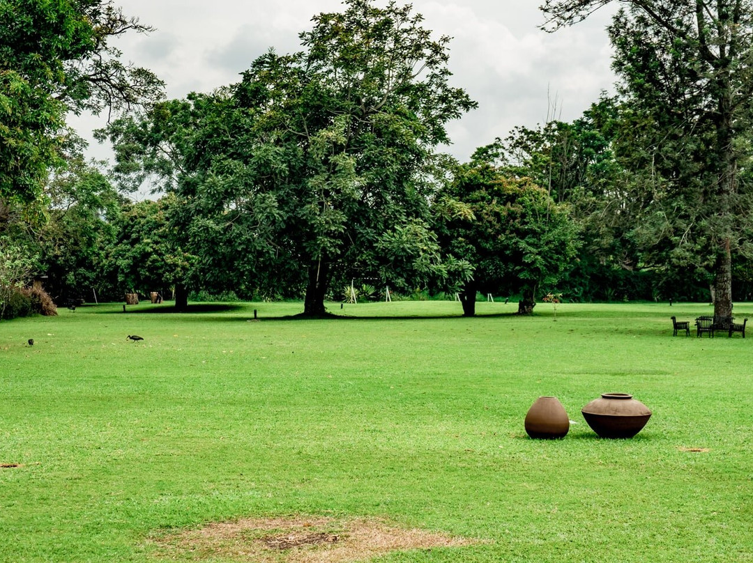 Mountains Of The Moon Hotel主图