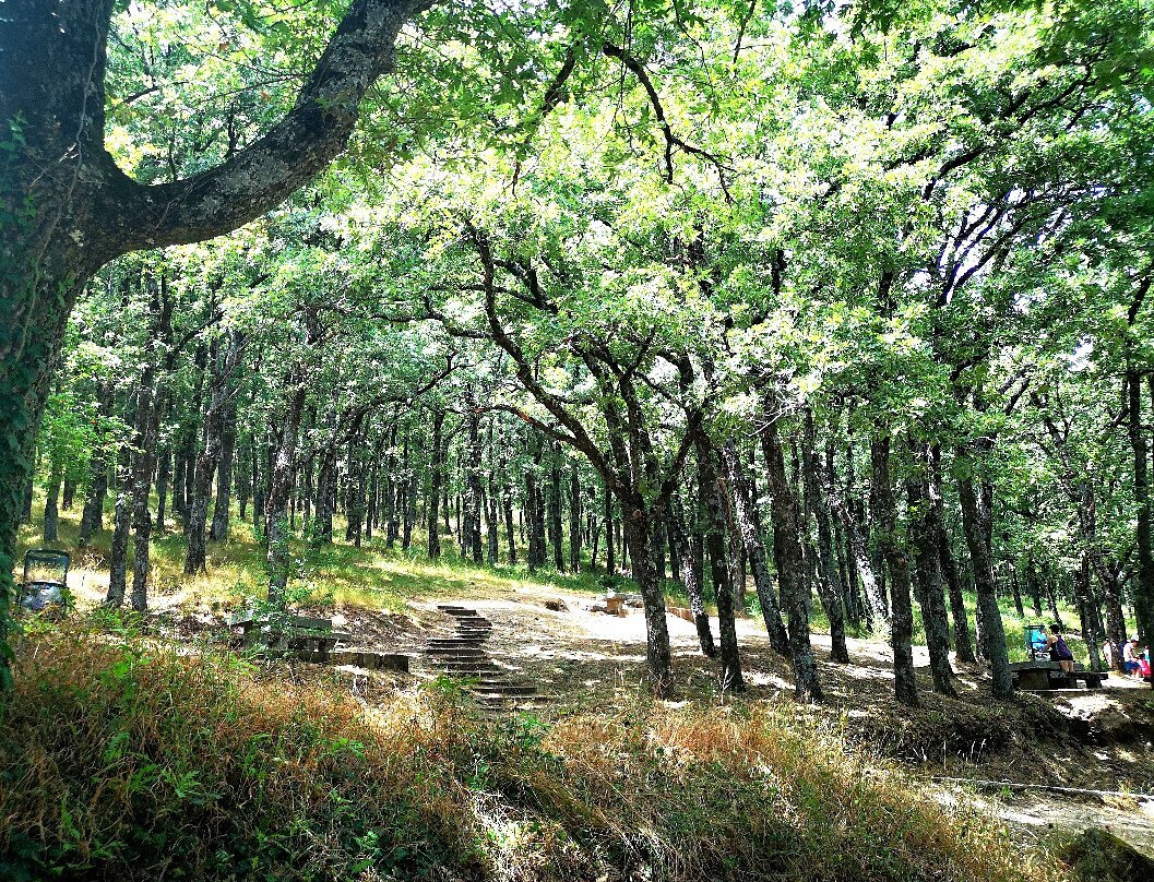 Área Recreativa Fuente Del Cura景点图片