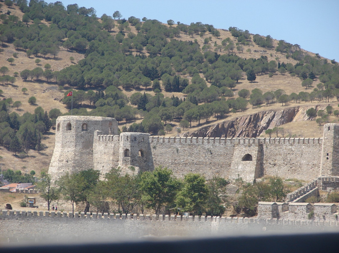 Bozcaada Kalesi景点图片