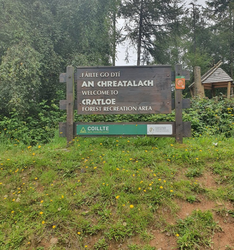 Cratloe Woods-Cratloe必去景点