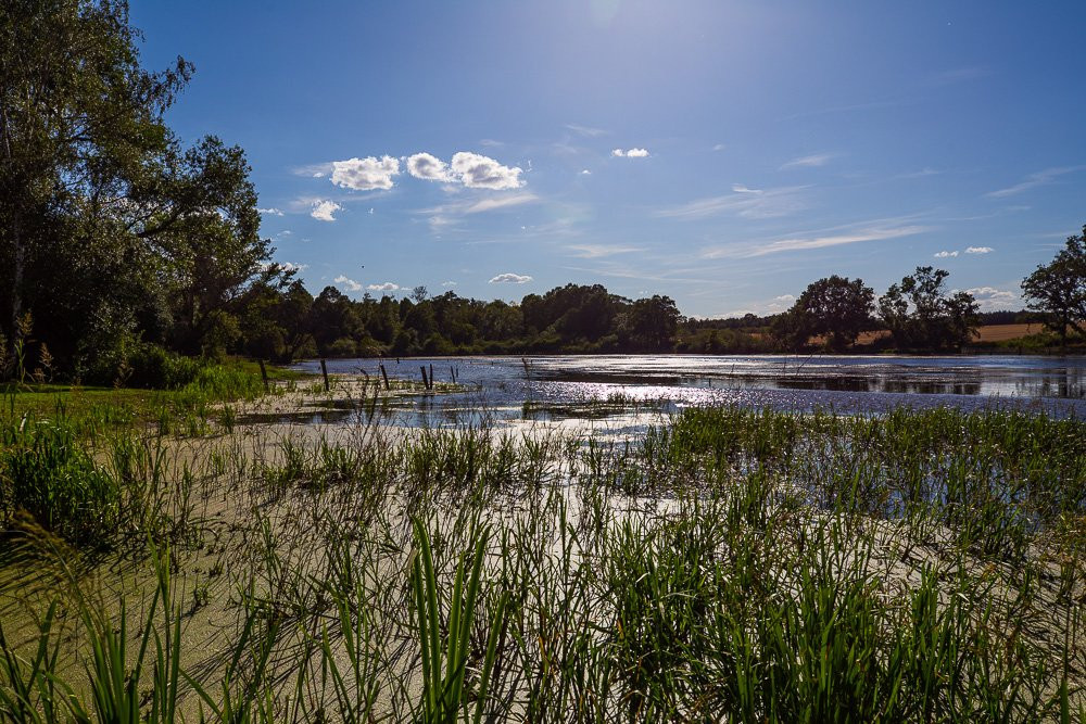 Chateau d'Alteville主图