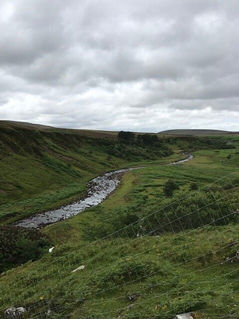 Dunbeath Strath景点图片