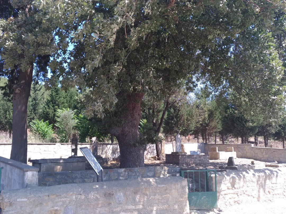 Yalova Koyu Zabitan Sehitligi-Eceabat必去景点