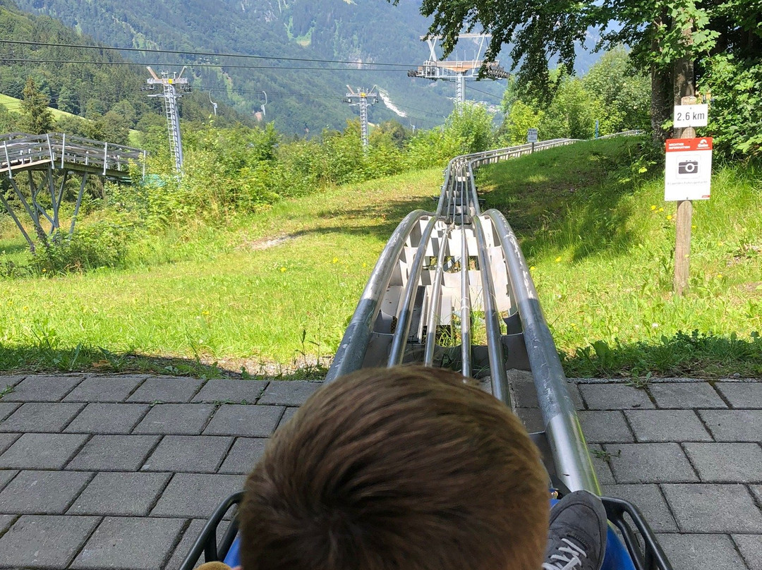 Alpine-Coaster-Golm-Latschau必去景点