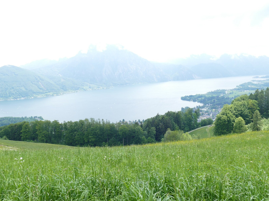 Berggasthof & Pension Urz'n主图