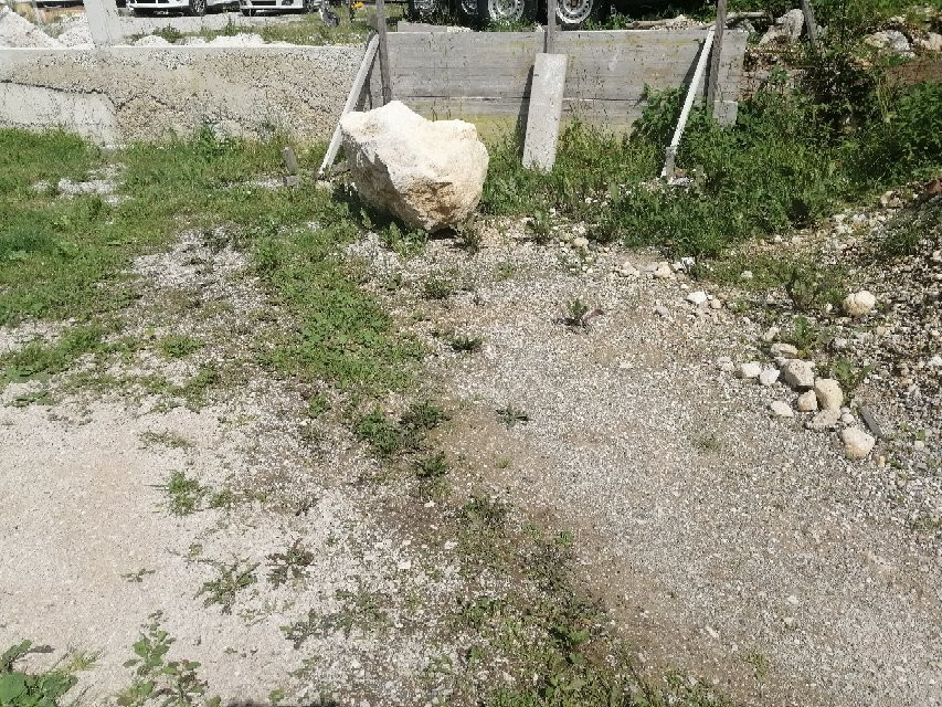 Gasthof Staud'nwirt主图