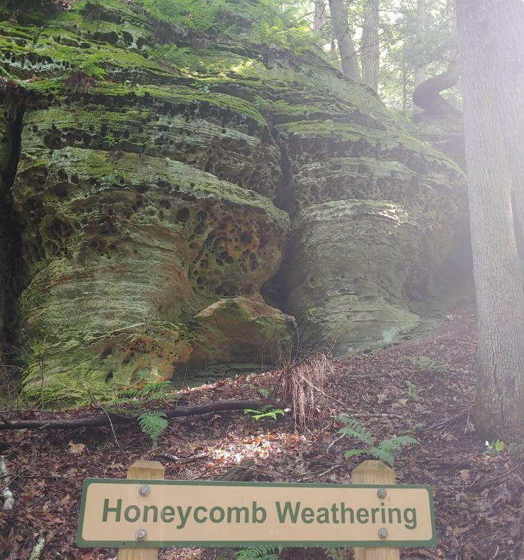 Hemlock Bridge Trail-洛根必去景点