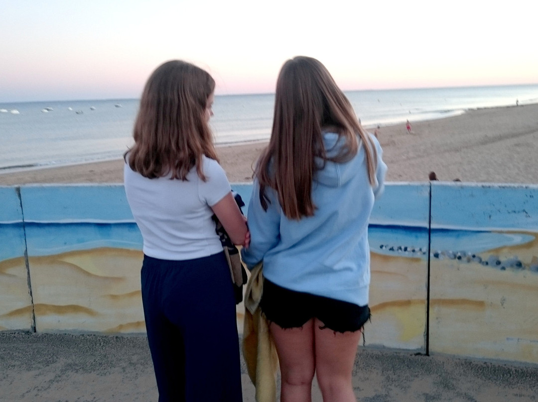 Plage de La Griere景点图片