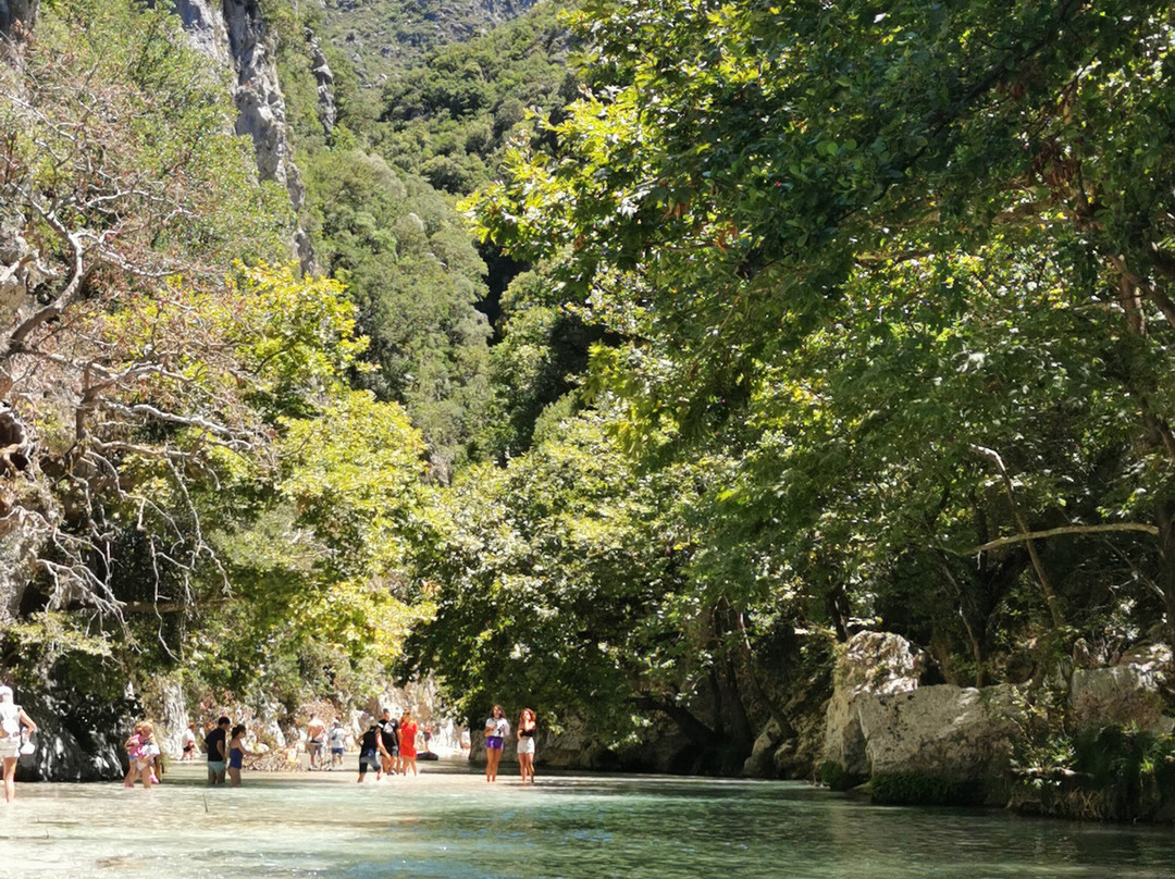 ZipLine Greece Acheron River-Glyki必去景点