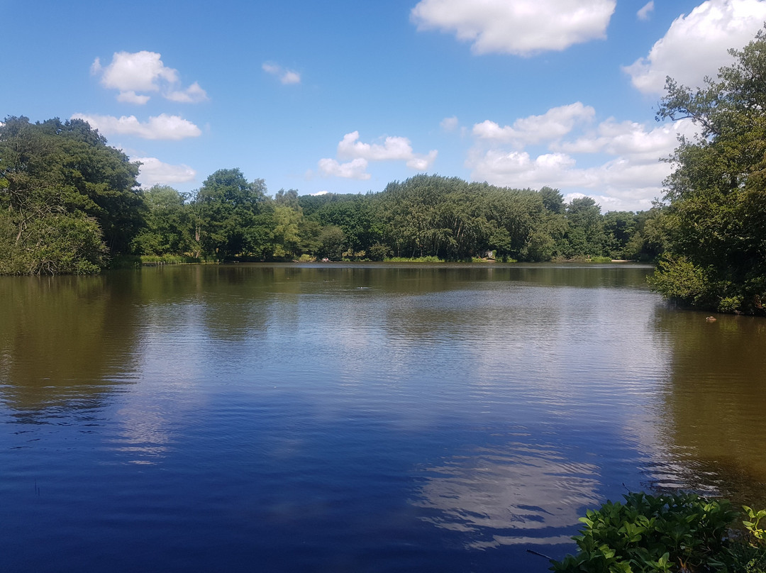 Allestree Park-德比必去景点