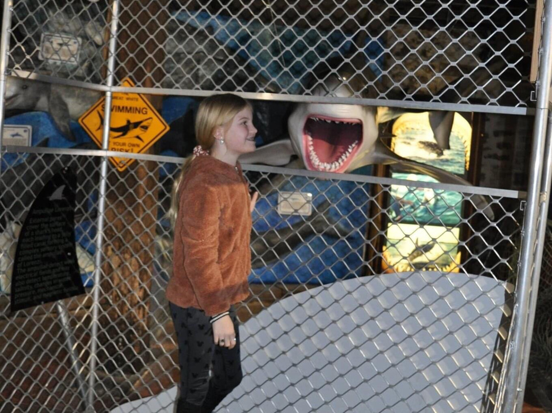 South Australia Whale Centre-维克多港必去景点