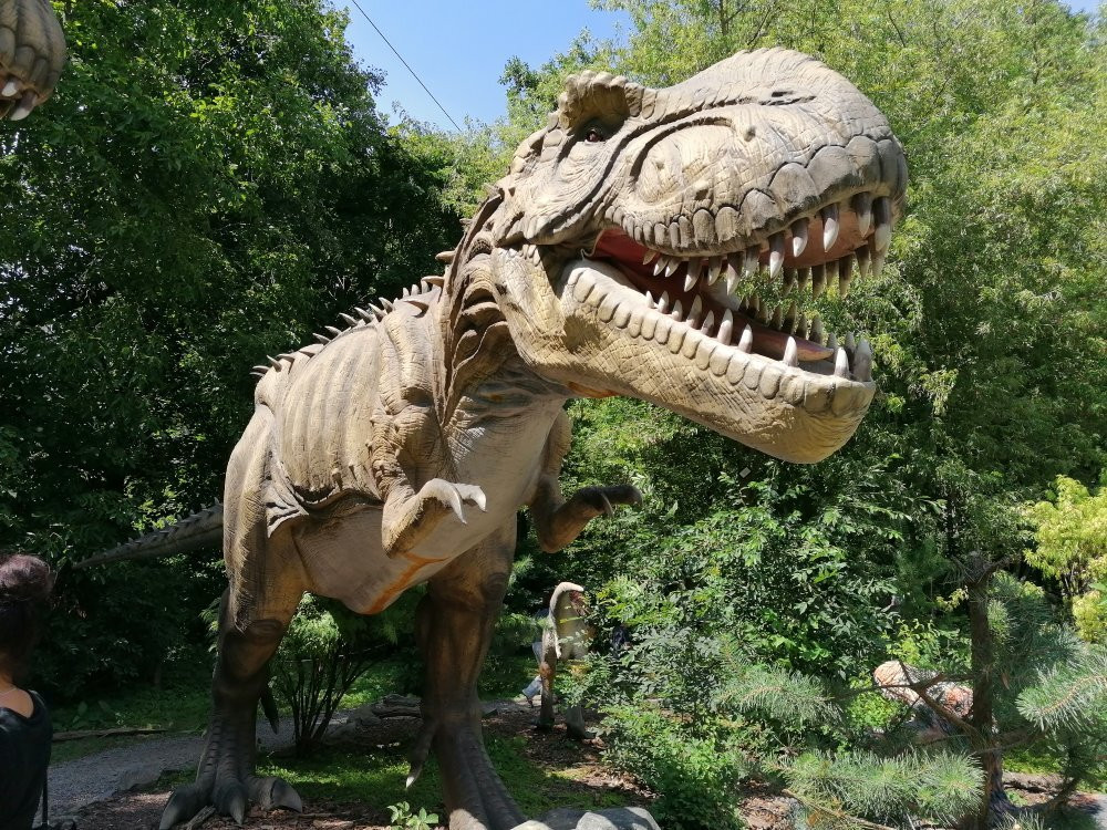 DinoPark Zoo Vyskov-Vyskov必去景点