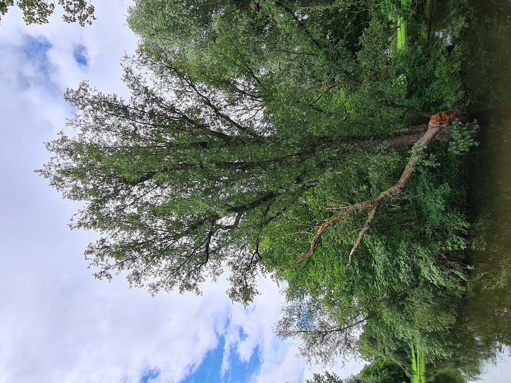 Noorderplantsoen Park-格罗宁根省必去景点