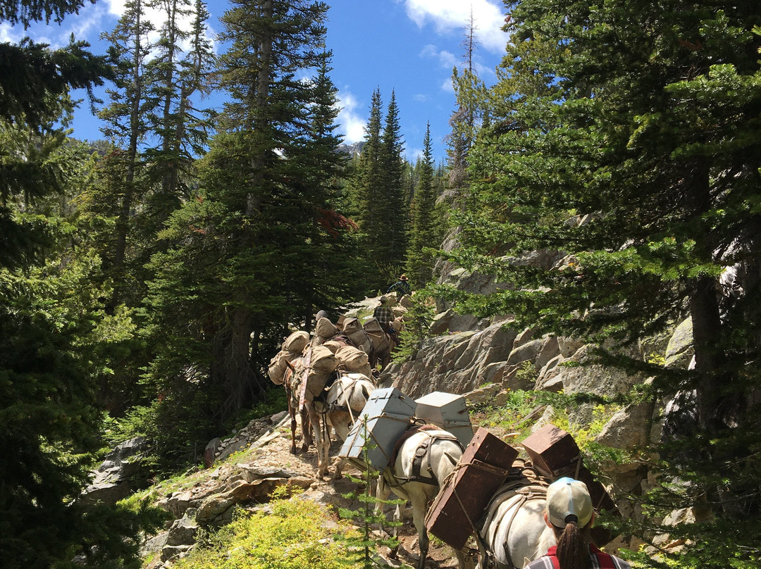 Early Winters Outfitting - Day Tours-Winthrop必去景点