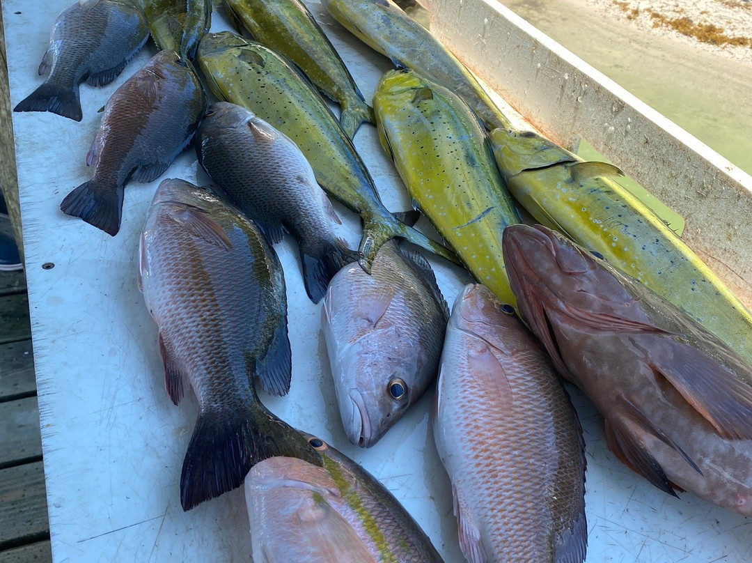 Go Time Sportfishing Charters-伊斯拉摩拉达必去景点