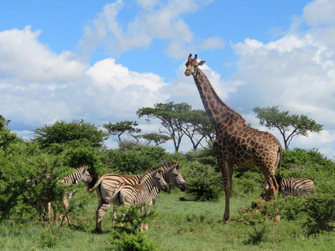 The Overlanders-爱丁堡必去景点