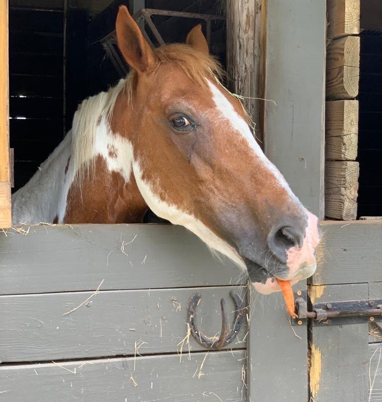 The Little Farm-Goulds必去景点