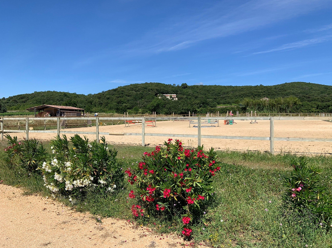 Le haras de Durfort景点图片