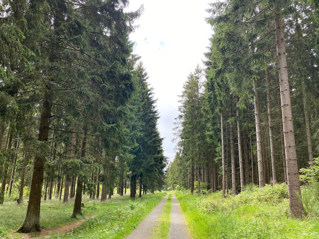 Rothaarsteig景点图片