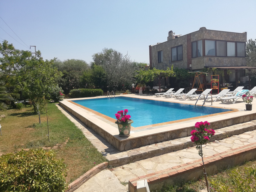 Dodo House Bodrum