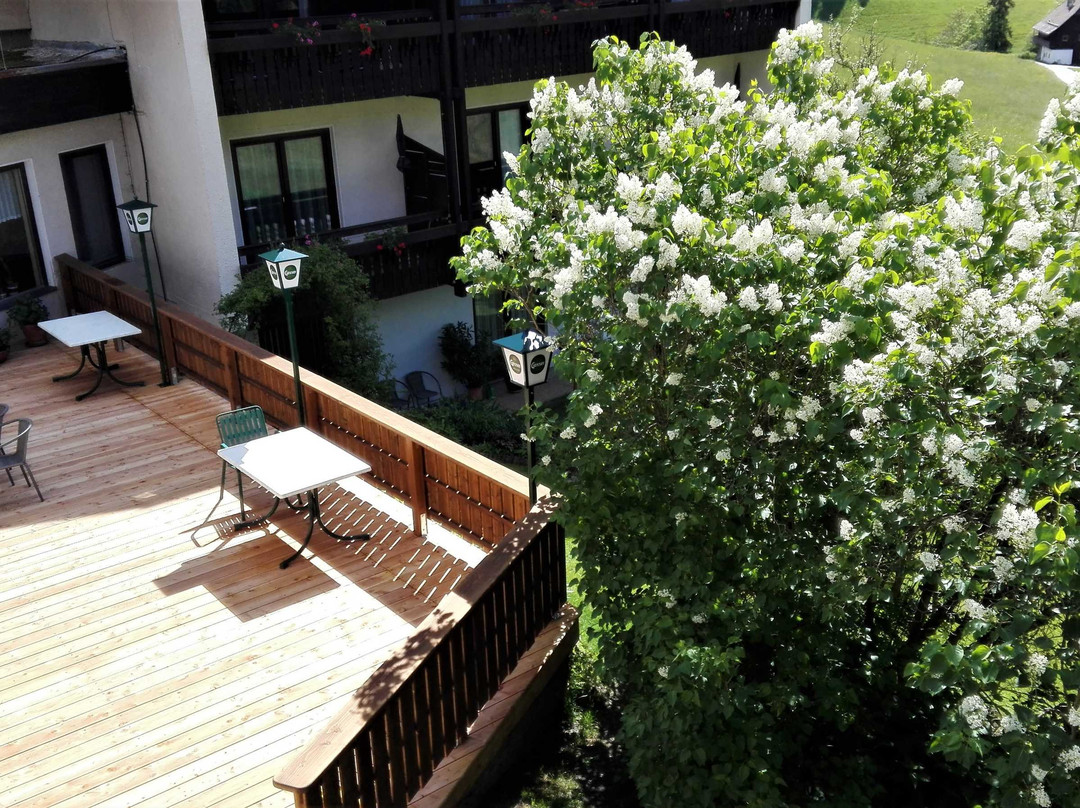 Pension & Ferienwohnung Sonnleiten主图