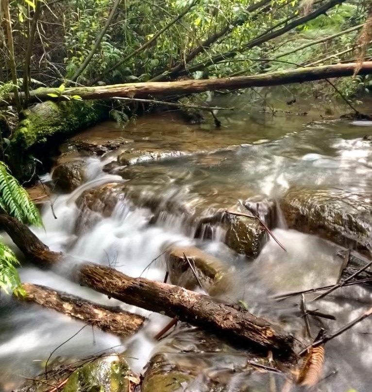 Mason Falls Picnic Ground-Kinglake必去景点