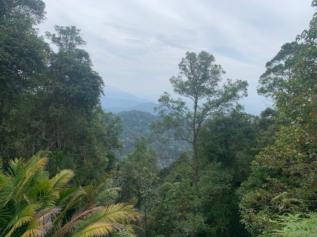 Bukit Kledang-怡保必去景点