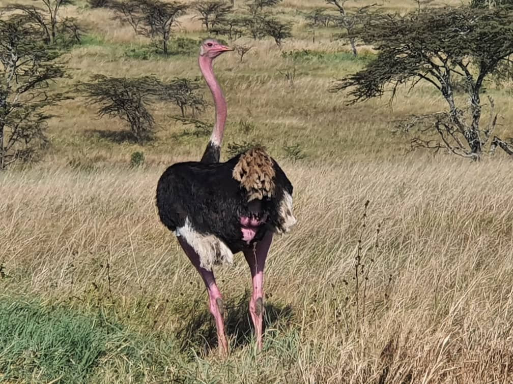 MORANI TOURS & SAFARIS LIMITED-阿鲁沙必去景点