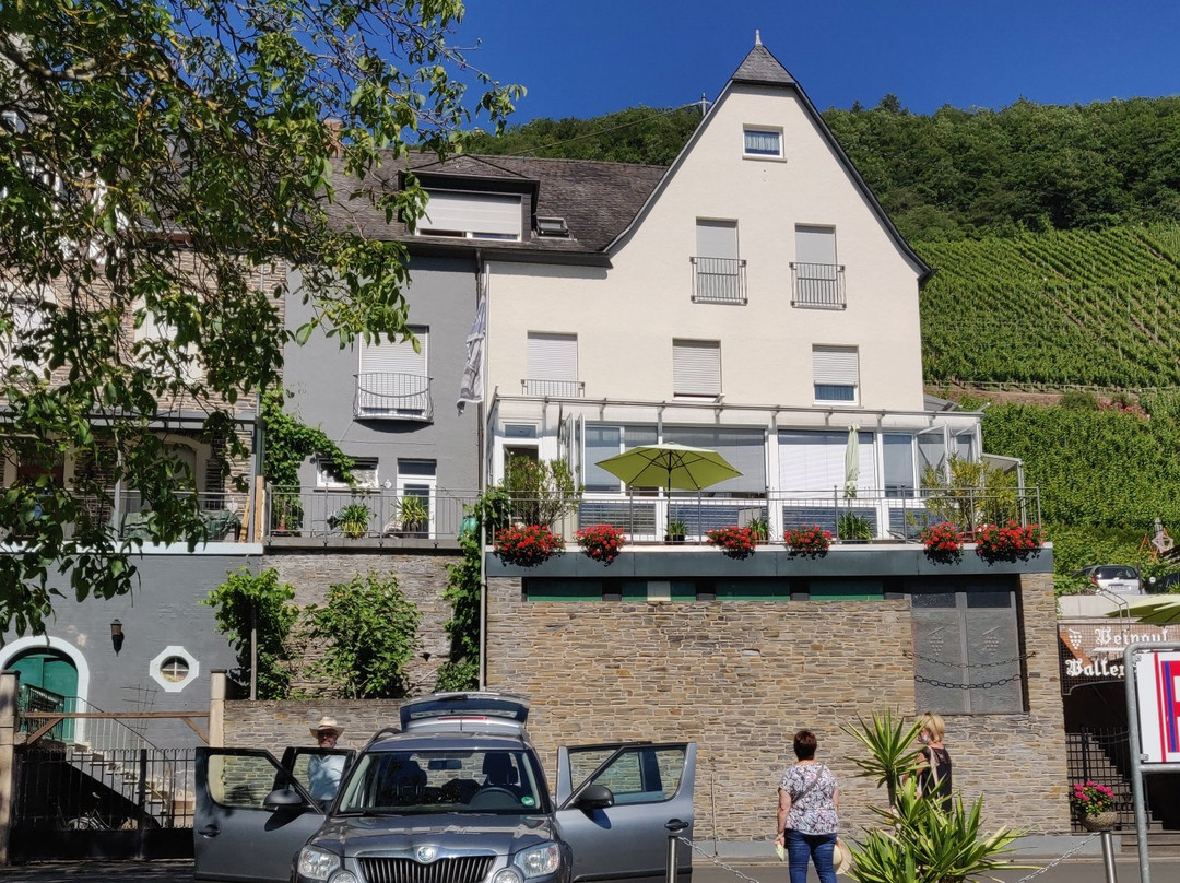 Weingut Gaestehaus Gerlach主图