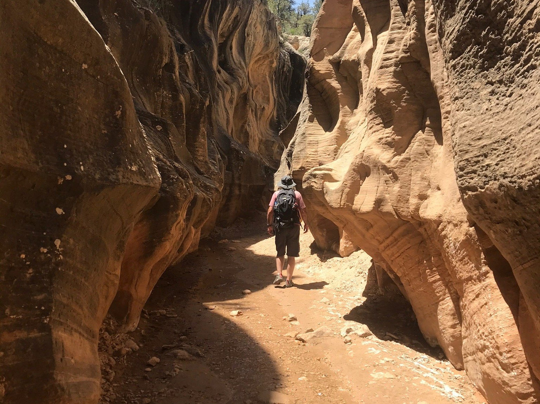 Willis Creek Slot Canyon-Cannonville必去景点