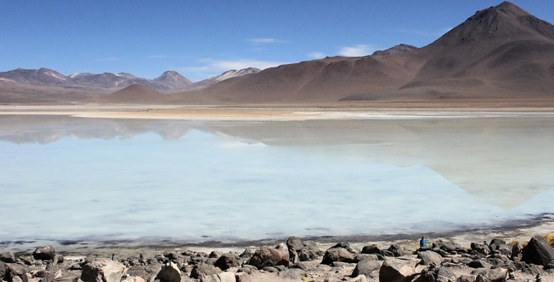 Laguna Blanca-乌尤尼必去景点