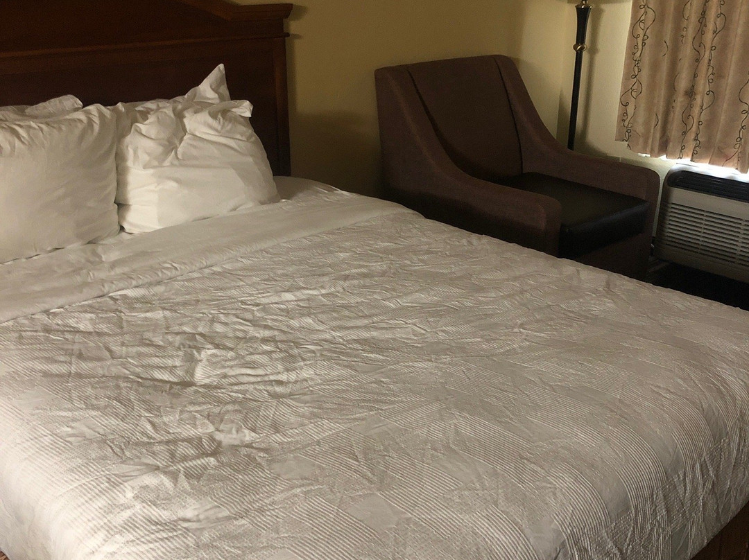 格林维尔贝斯特韦斯特酒店主图