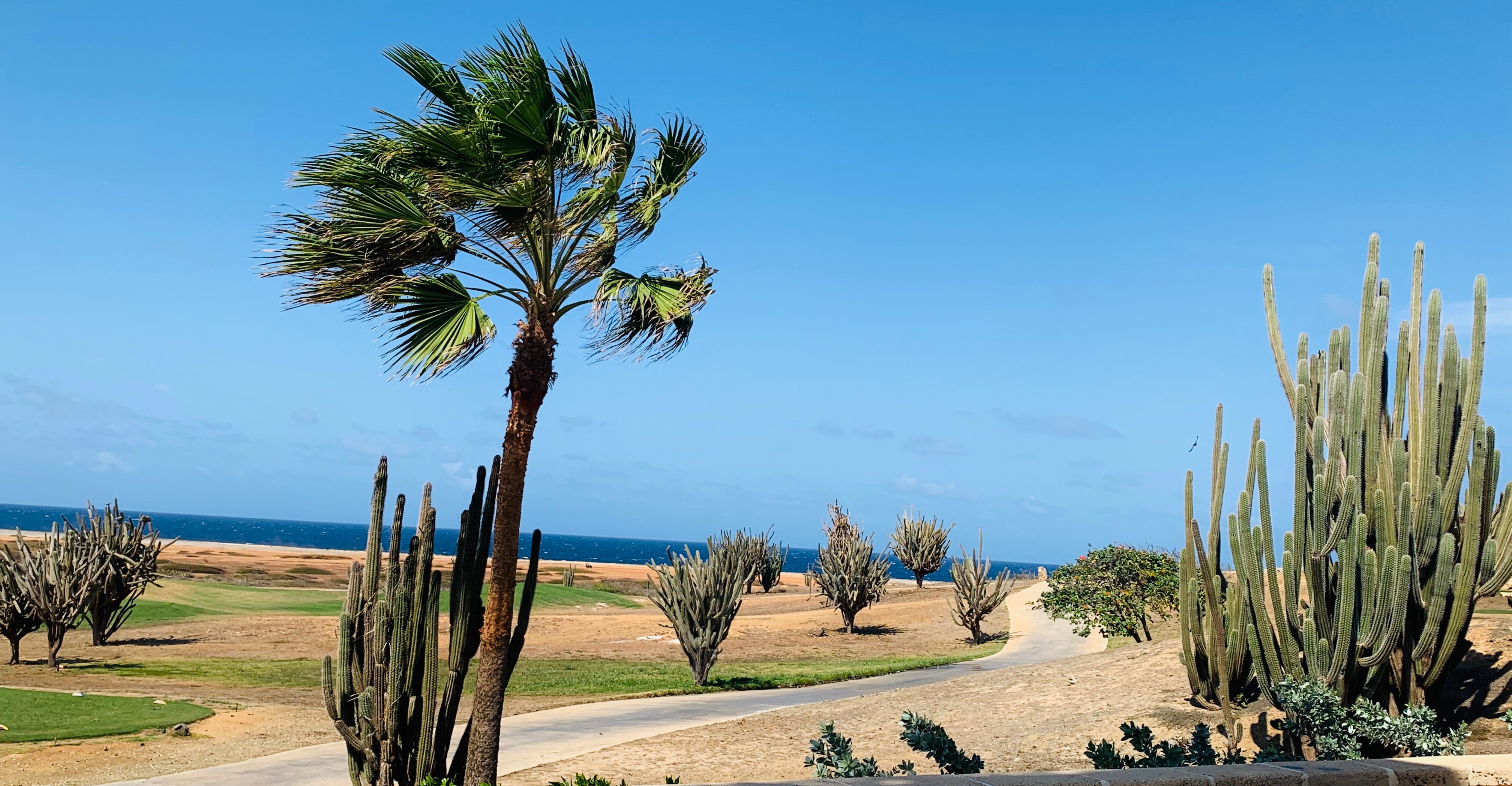 Tierra del Sol Resort & Golf-浴室