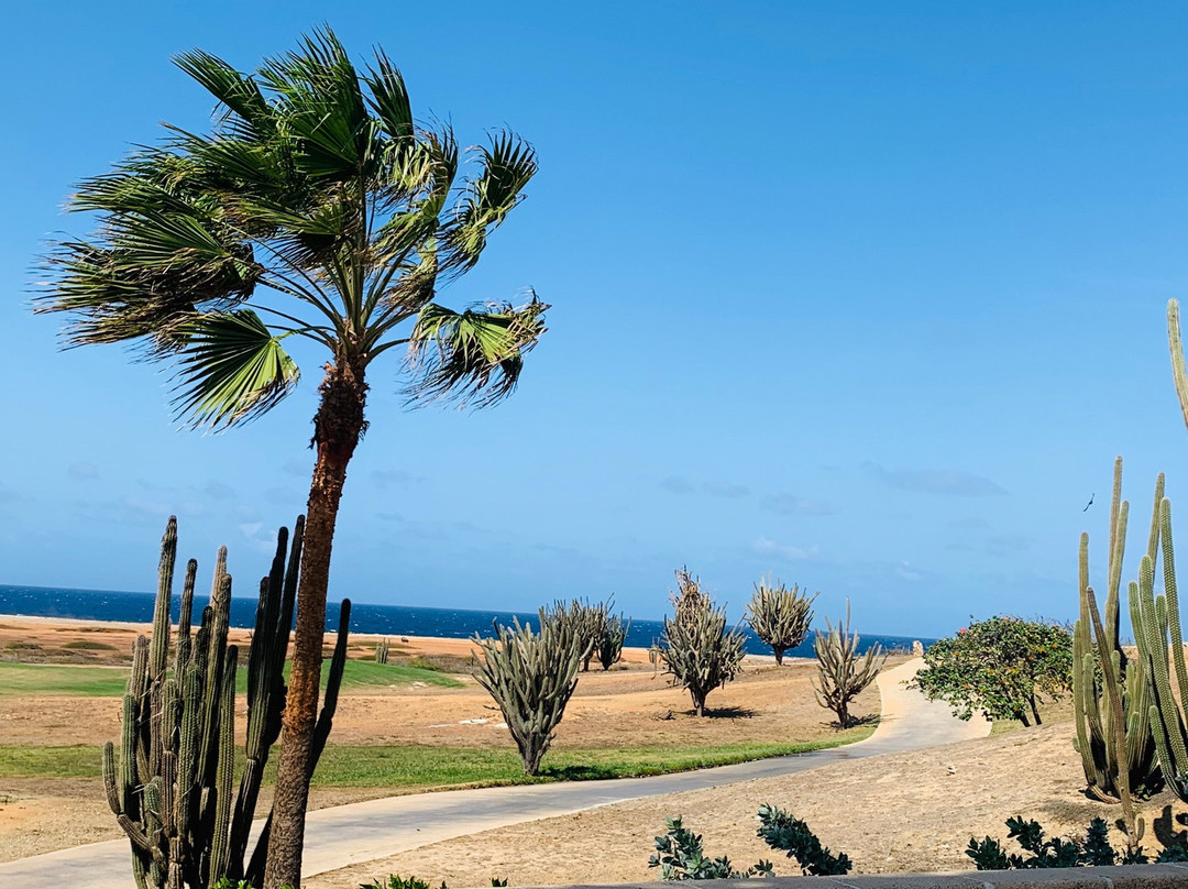 Tierra del Sol Resort & Golf主图