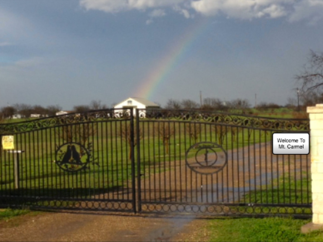 Branch Davidian Memorial Park景点图片