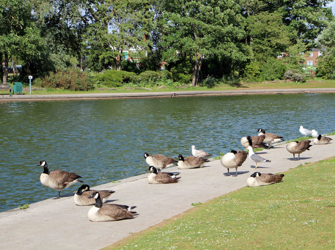 Victoria Park cycling there-威德尼斯必去景点