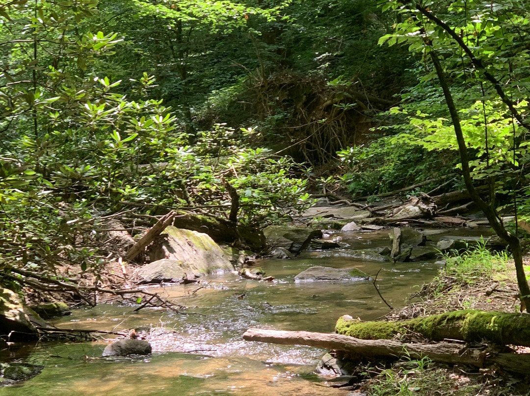 Oconee Station State Historic Site景点图片