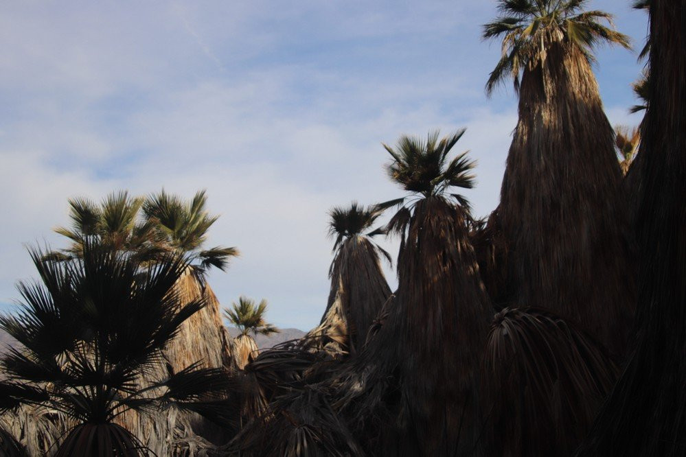 San Andres Trail-Salton City必去景点