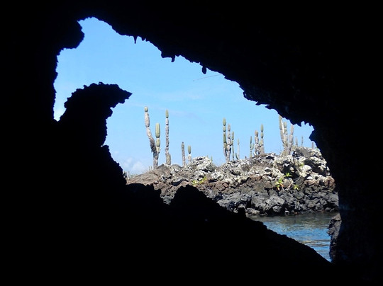 The Darwin Path - Travel Agency-阿约拉港必去景点